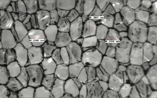 Microscope image of the closed-cell structure of XPS foam