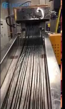 900-1100kg/h PET Bottle Flakes Recycling Line in Canada — video cover