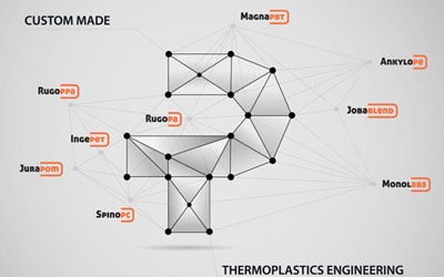 Engineering Plastic Politem